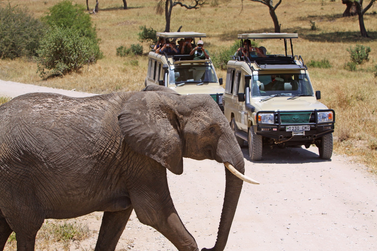 Tanzania - Wilderness Inquiry