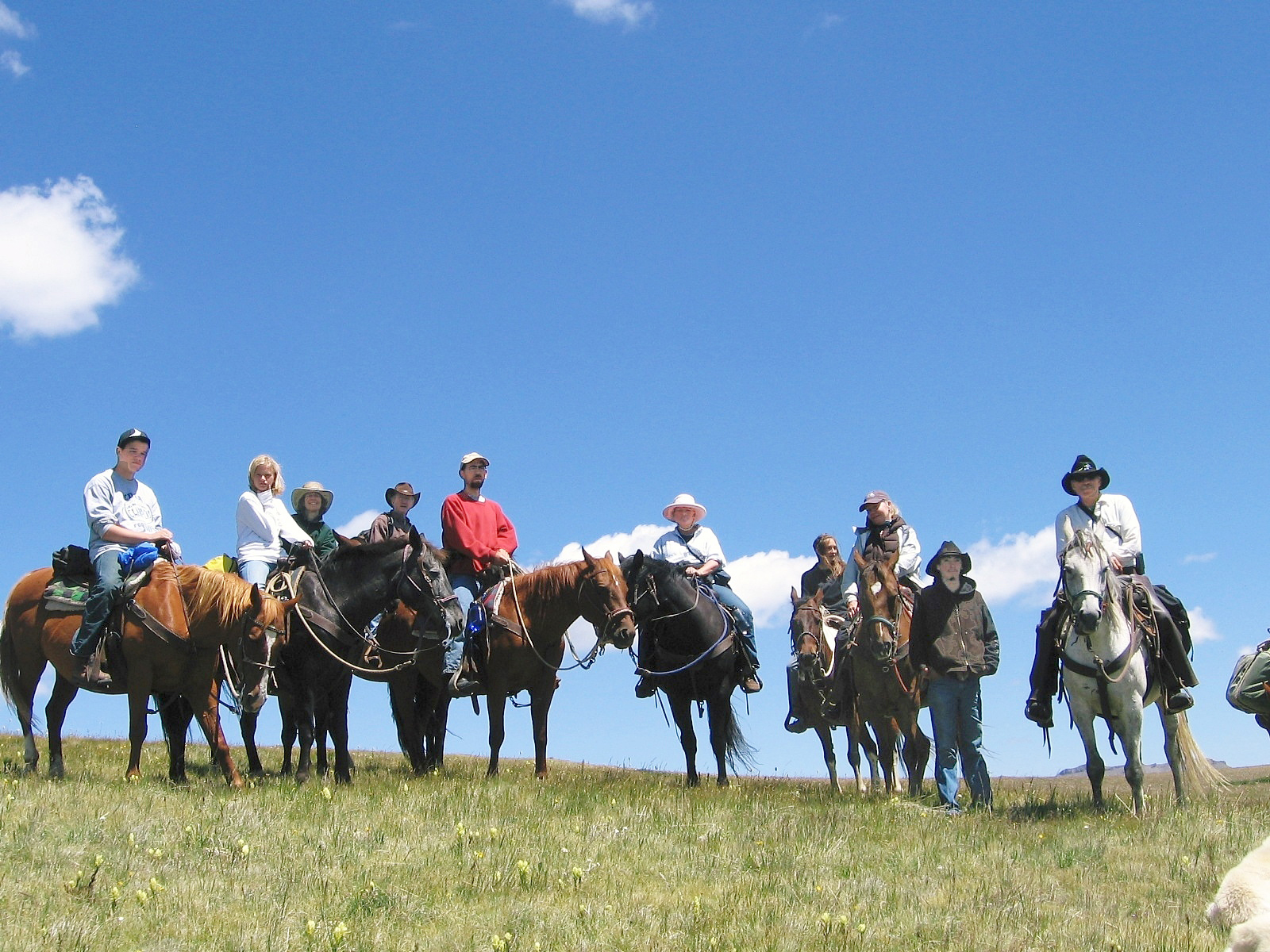 A large group of people on horseback posses under the open ski of Colorado.