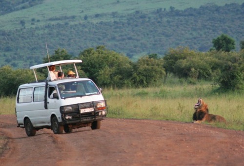 Kenya Wildlife Safari - Wilderness Inquiry