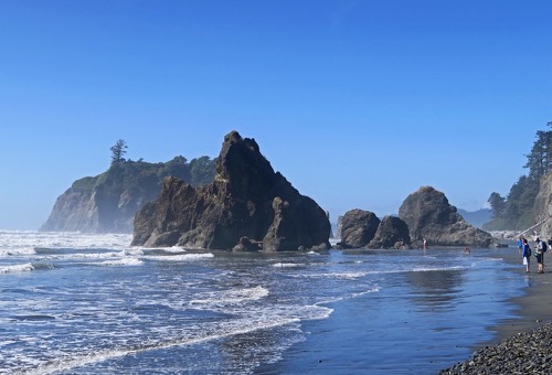 Olympic National Park Trips | Hike & Explore | Wilderness Inquiry