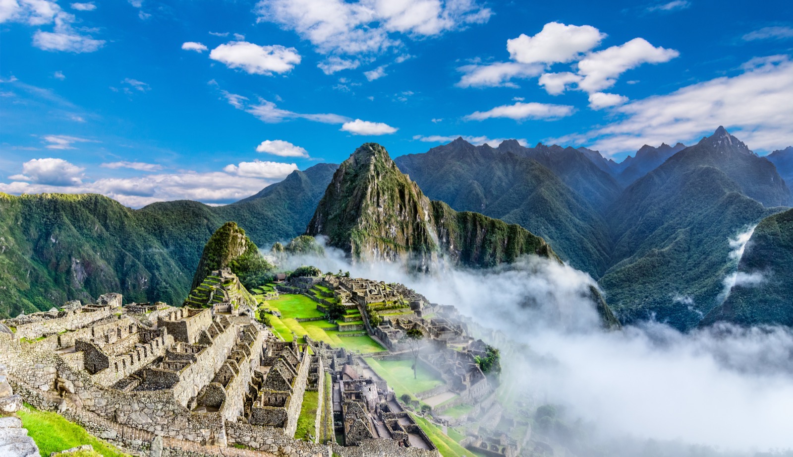 Machu Picchu Llama: The Inca Trail of the Sacred Llamas