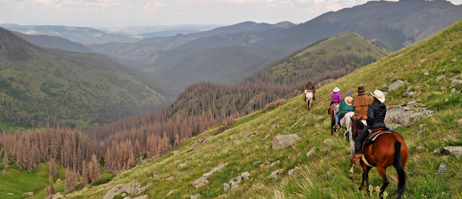 Colorado Horsepack