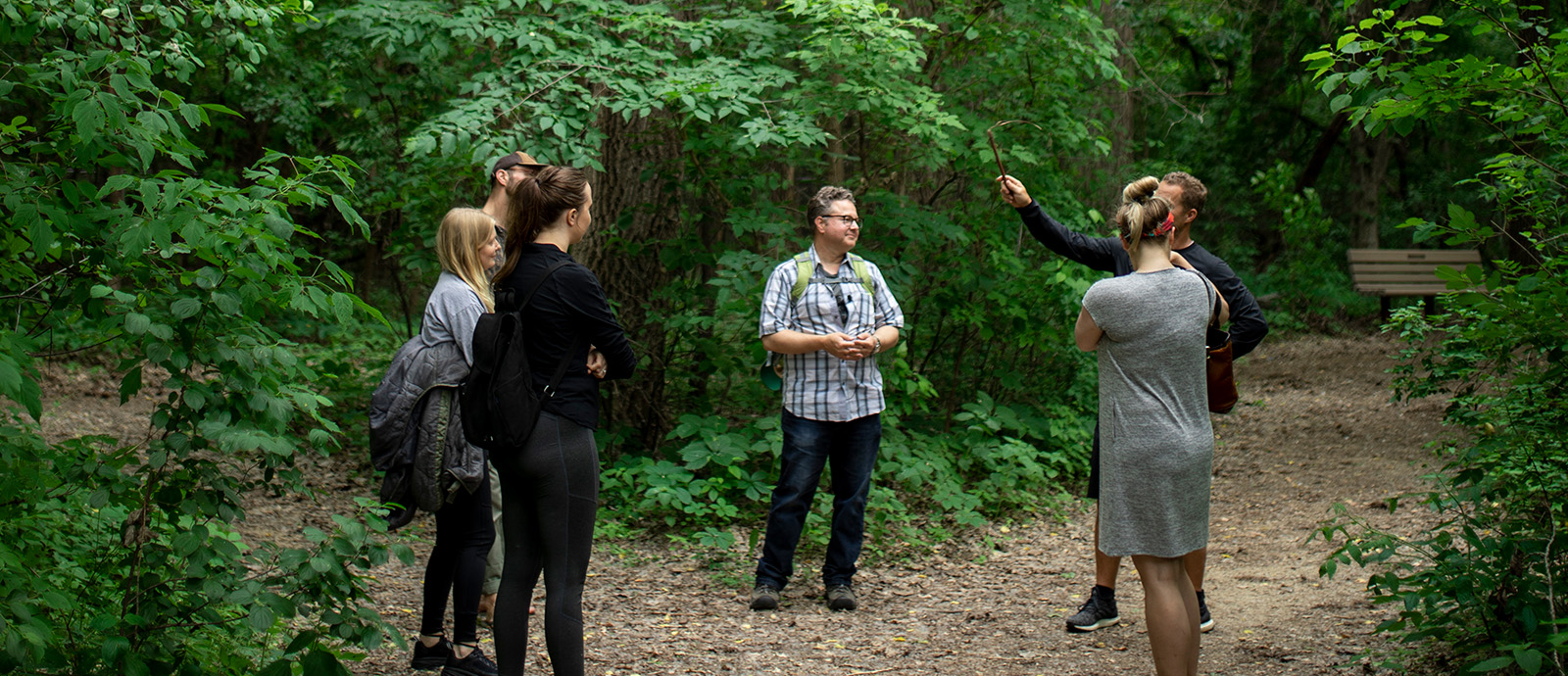 Apostle Islands Forest Bathing Retreat