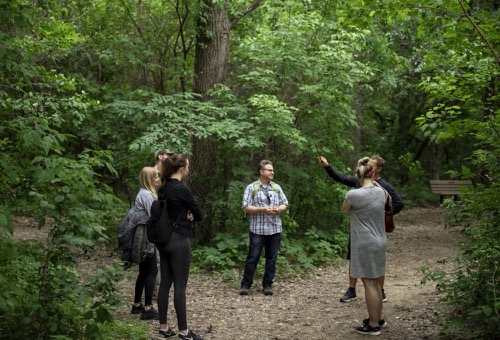 Apostle Islands Forest Bathing Retreat