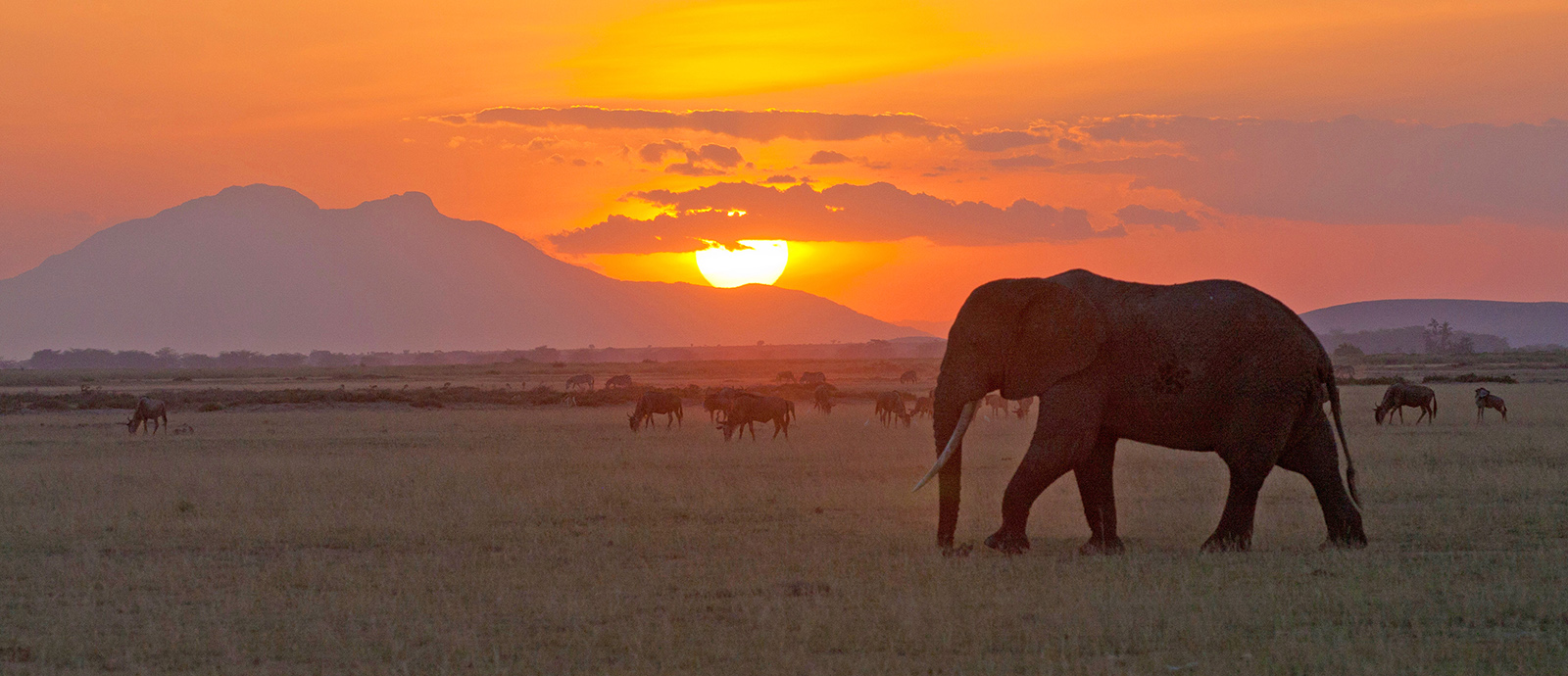 Tanzania Safari and Zanzibar Adventure